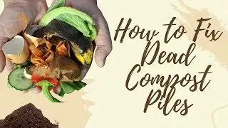 How to fix dead compost pile