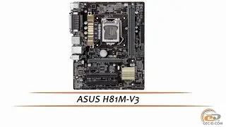 ASUS H81M-V3 - видеообзор материнской платы