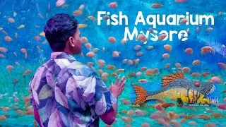 Fish Aquarium Underwater Zoo Mysore | Zeeshan Stories