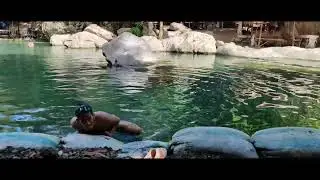 Pupot Bukal Tanay Rizal with Tropapeepz Relaxing view and cold water to beat the summer heat.