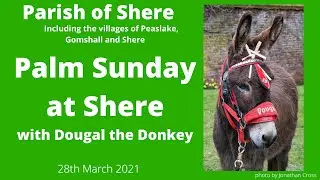 Palm Sunday at Shere with Dougal the Donkey - 28.3.21