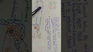 #T.S of anther ,part-2,#microsporengia,#endothecium#embryology