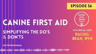 EP #56 Canine First Aid: Simplifying the Do's & Don'ts, with Rachel Bean, RVN