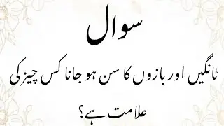 Amazing General Knowledge Question in Urdu|Paheliyan in Hindi|by Islamic Jawabaat| #119