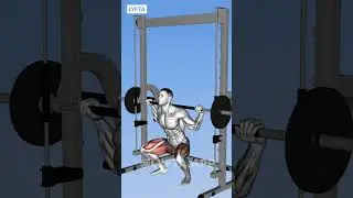 top 10 LEG exercises with smith machine 😍