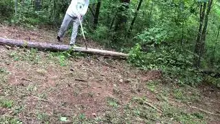 Chopping a fallen tree with a bush axe