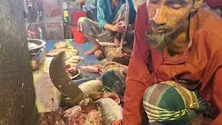 Fish Cutting Video | Attractive fish Cutting video 2024 | Latest Video