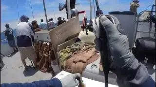 California Fishing Tips: Enterprise Long Beach Pierpoint Charter Guide