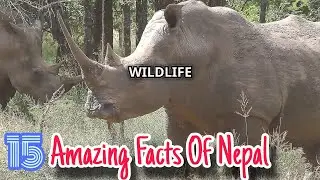 15 Amazing Facts Of Nepal | History Of Nepal