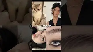 Which animal beauty you have? ✨🌸  #aesthetic #beauty #animal #youtubeshorts #eyes #cateyes #foxeyes