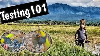 Ang Daming Ganap- FX Smooth Twist X Superior Heavy Liner 700mm . 22Cal Testing |WildSpot Hunter