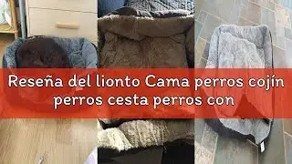 Rese&ntilde;a del lionto Cama perros coj&iacute;n perros cesta perros con coj&iacute;n tama&ntilde;o (S) 50x37 cm gris/negro