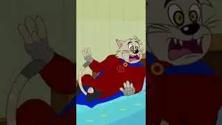 What Did Cat Man Eat Last Night?