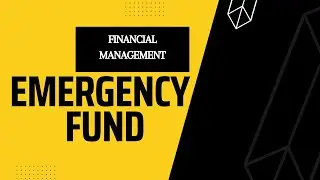 Mastering Financial Preparedness: Building an Emergency Fund and Its Crucial Significance