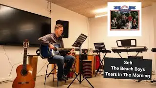 Seb / The Sardives - The Beach Boys - Tears In The Morning #beachboys #brucejohnston #guitarcover 