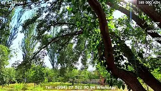 NOVXANIDA, 30 SOTDA 185 000 BAĞ SATILIR/Недвижимость в Баку /bina az/emlak az/bag evleri