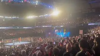 🔥 AJ LEE RETURNS TO WWE IN CHICAGO (LIVE CROWD REACTION)