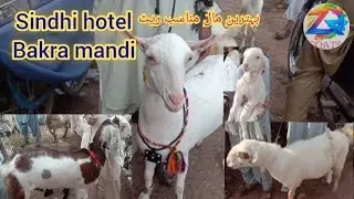 Sindhi hotel Bakra mandi laetast update Jan 16 2026