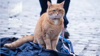 A street cat named Bob | Trailer 1 | Sony Pictures