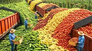 99+ MOMENTOS &Eacute;PICOS de la MEGA COSECHA 2025 🌾  AGRICULTORES Recolectando MILES de MILLONES