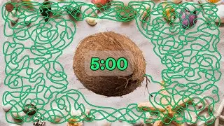 5 Minute Timer Bomb [COCONUT EXPLOSION]