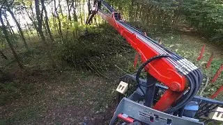 Claas Axion 850 | Forwarding Forest residue wood & crown material | POV | Part 2