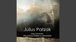Winterreise: Erstarrung