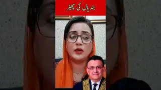Full court #uzmabukhari