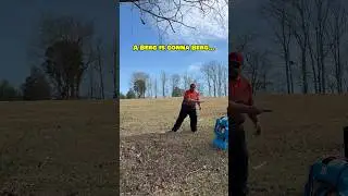 If you throw a Berg and it lands on its side, it might decide it&rsquo;s a tire.😅 #discgolf #kastaplast