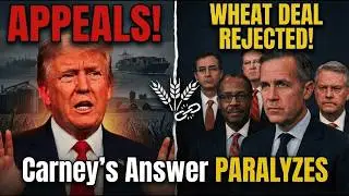 Supply Chain PARALYSIS After Carney Rejects Trump Wheat Deal | What Happens Next?