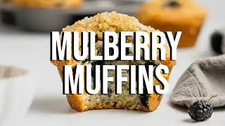 Bakery Style Mulberry Muffins