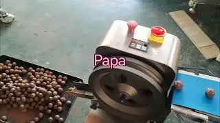 Papa automatic P160 stuffed energy date ball production machine