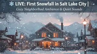 Cozy Salt Lake City First Snow ❄️ Pure Ambience | No Music
