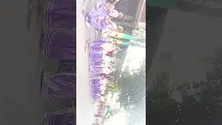 Viva! Viva! Viva!