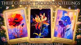 🌦️🌈🌪️TRUE LOVE or Just a LESSON⁉️🧐🔮Pick a Card🔮timeless love tarot reading💫🦊🦅🧜🏼&zwj;♀️