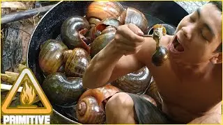 Catch and Cook | Collect Snail Cooking For Food Eating Delicious