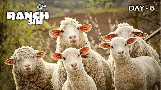 RANCH SIM : SOUTH WEST | DAY 6 | 🔴LIVE | #940 #shreemanlegendlive #shorts #fun #war #games #ranchsim