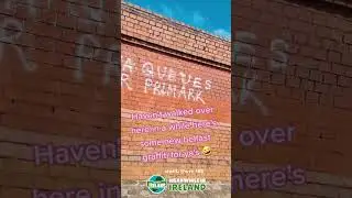 Funny Belfast graffiti