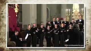 As Shepherds kept their lonely Vigil - Sally DeFord
