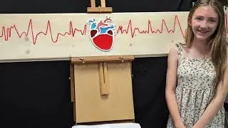 Grade 8 Project Based Learning Projects