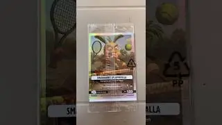 Carta Promo dei Brainrot!!