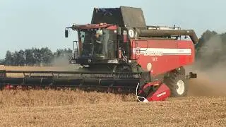 Уборка гороха на скорости: ГОМСЕЛЬМАШ GS2124 в деле!