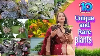 🔴&ldquo;10 Rare & Unique Plants You&rsquo;ve Never Seen Before | दुनिया के 10 सबसे अनोखे पौधे&rdquo; #uniqueplants 