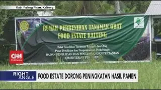 Food Estate Dorong Peningkatan Hasil Panen