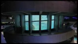Time Lapse Footage - Building the New Aquarium Experience