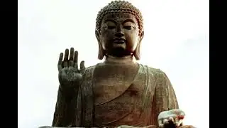 join us on the path to mindfulness and meditation,discovery with guided mindfulness and meditation.