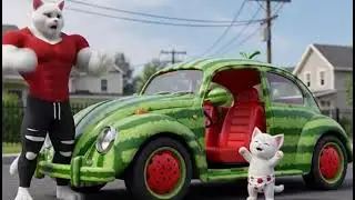 the dog destroyed the Watermelon Car of the cat long
