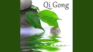 Qi Gong