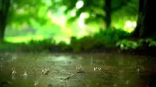 Liquid Grace &ndash; Hypnotic Slow-Mo Rain#SlowMotionRain  #Raindrops  #SlowMotionMagic  #NatureInSlowMo