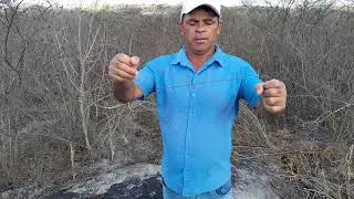 Mostrando a fenda d água 